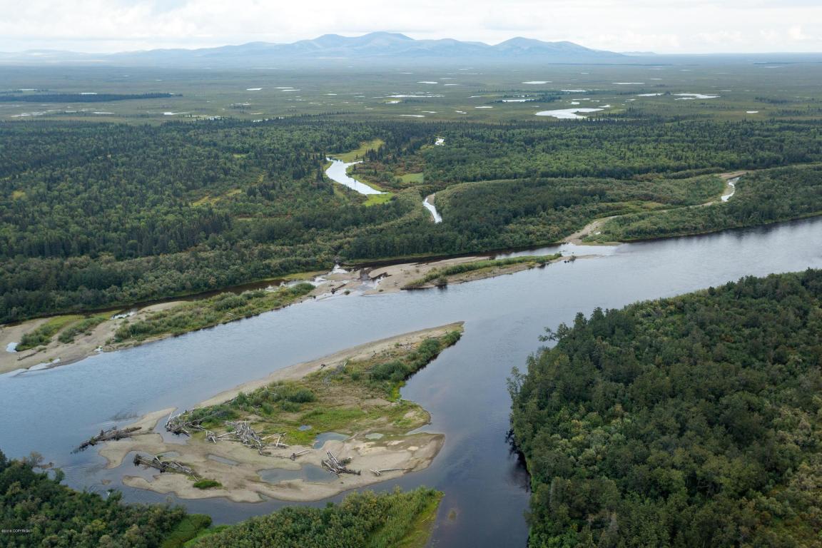 nushagak river alaska