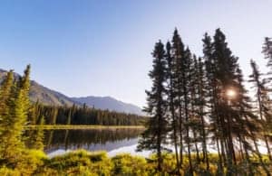 alaska king salmon adventures