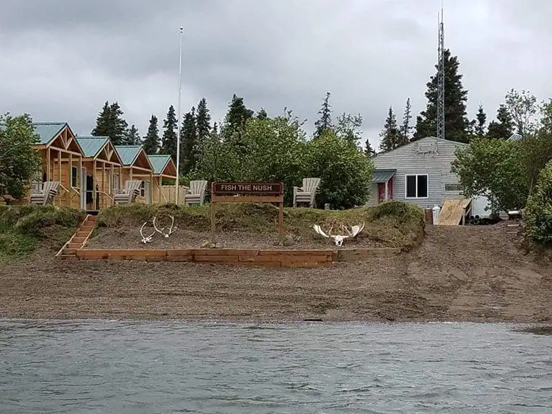 fish-nush-photo (18)