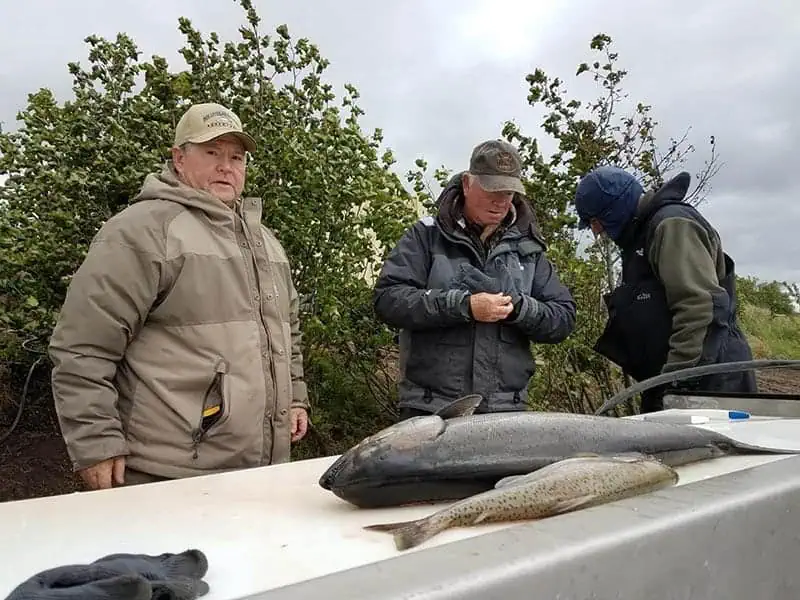 fish-nush-photo (26)