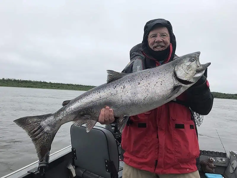 The 5 Best Salmon Recipes The 5 Best Salmon Recipes