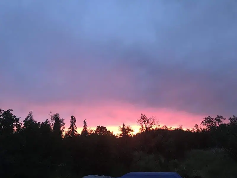 fish-nush-photo (36)