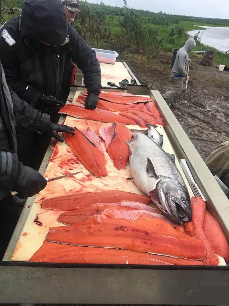 fish-nush-photo (79)