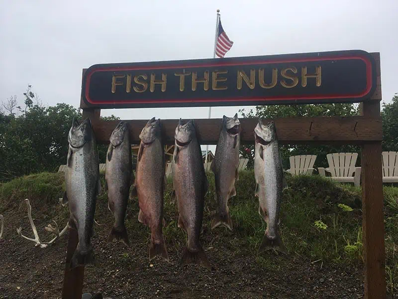 fish-nush-photo (88)