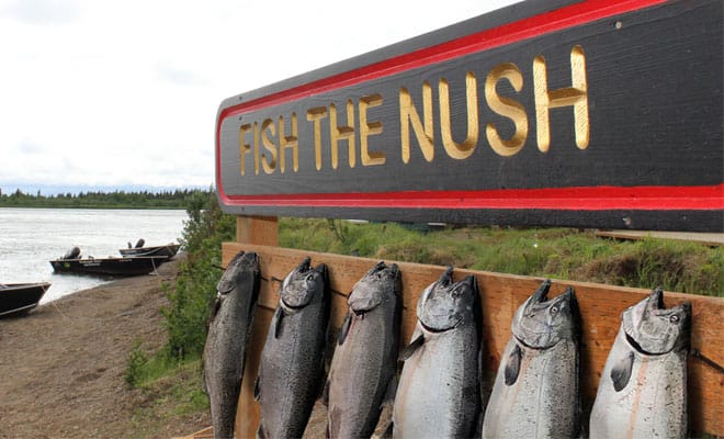 Fish The Nush Nushagak River Adventures