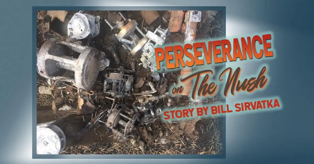 Perseverance on The Nush