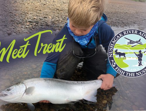 Alaska family vacations