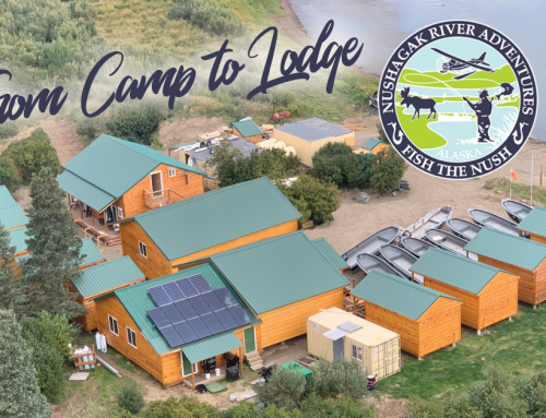 Best Salmon Fishing in Alaska