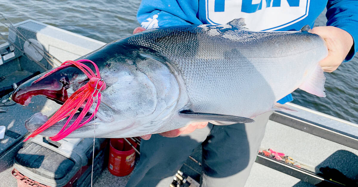 Planning a Trip to Alaska