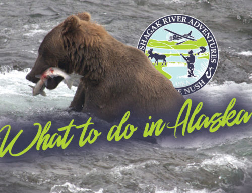 What to do in Alaska