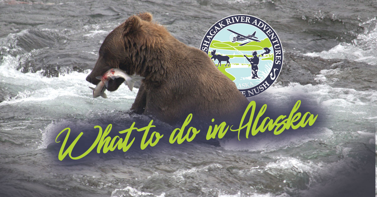What to do in Alaska