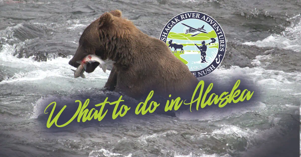 What to do in Alaska