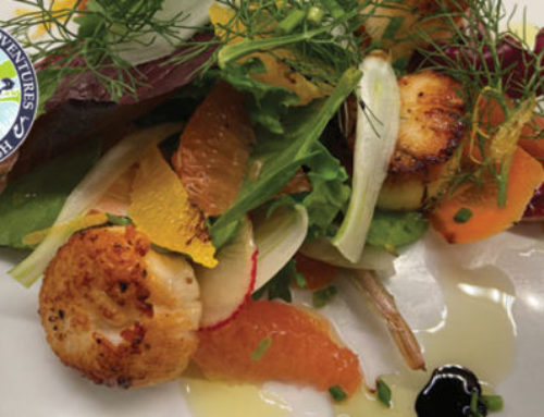 Seared Scallops and Fennel Salad