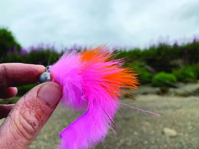 Silver fishing
