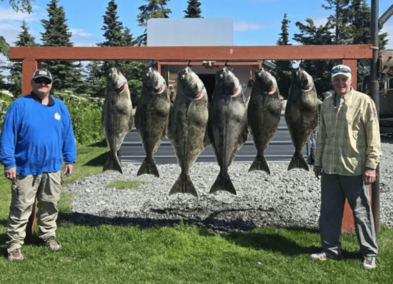 Nushagak Fishing Report: Kings and Sockeye 2025 nushagak