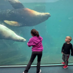 fishing in dillingham alaska