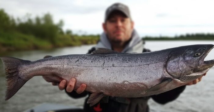 Alaska salmon Nushagak River