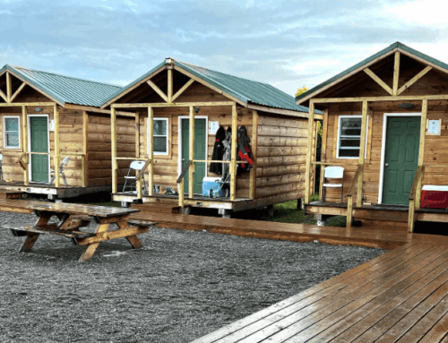 Here’s Your Complete Guide to Bristol Bay Fly Fishing and Lodging at Fish The Nush