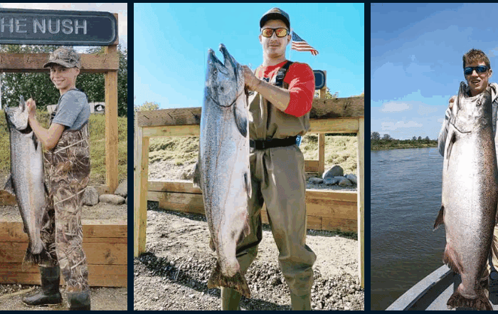 King Salmon Alaska Lodging