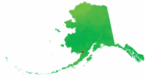 silver salmon alaska