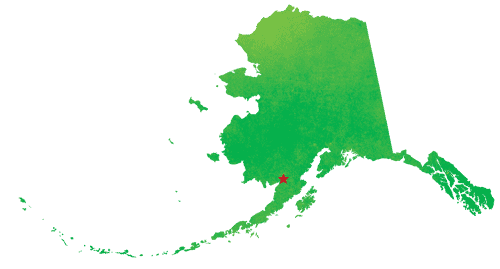 silver salmon alaska