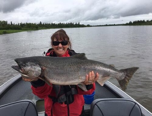 Alaska Fish Guide:  Here’s How to Start Your Nushagak River Adventure