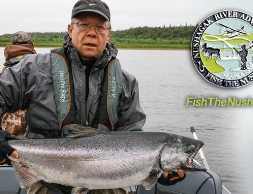 The Ultimate King Salmon Fishing in Alaska: When to Start & Where to Stay