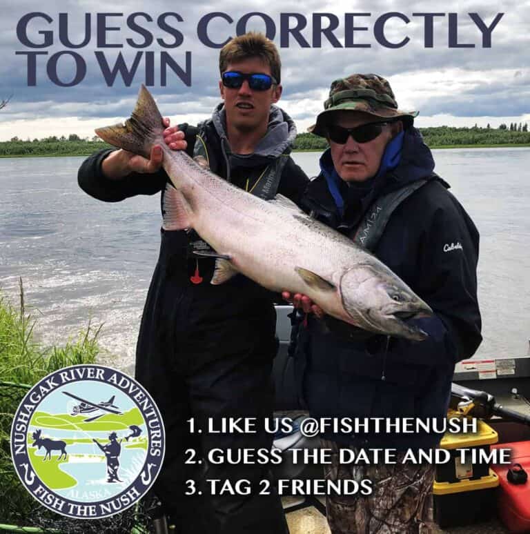 Guess the King bristol bay fly fishing lodge
