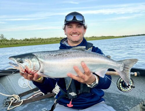 Silver Salmon on the Fly: Chasing Coho on the Nushagak River