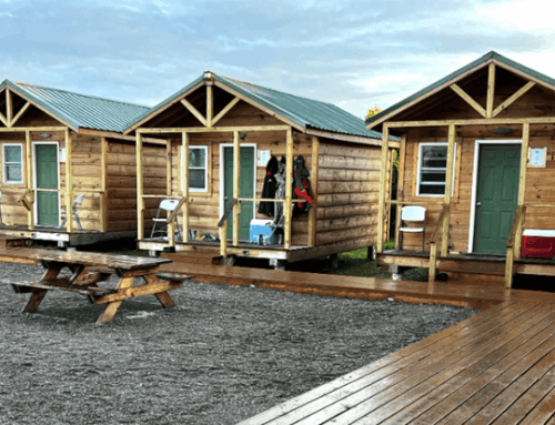 Best Bristol Bay Fishing Lodges: Why Fish The Nush Makes the Cut?