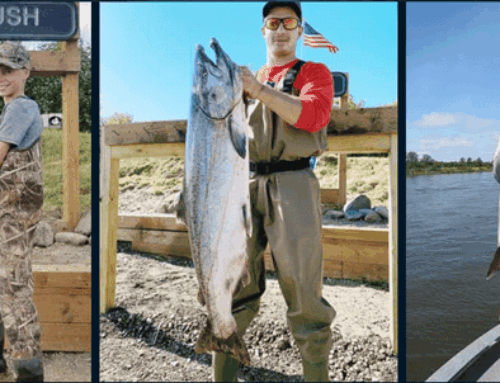 Why Salmon Fly Fishing in Alaska is an Altogether Different Experience?