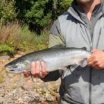 Salmon fly fishing in Alaska: Why the Nushagak River is the place to be