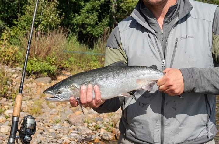 Salmon fly fishing in Alaska: Why the Nushagak River is the place to be