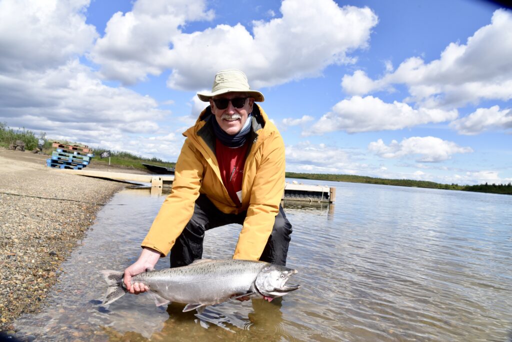 Angler carefully releasing a king salmon into the Nushagak River
