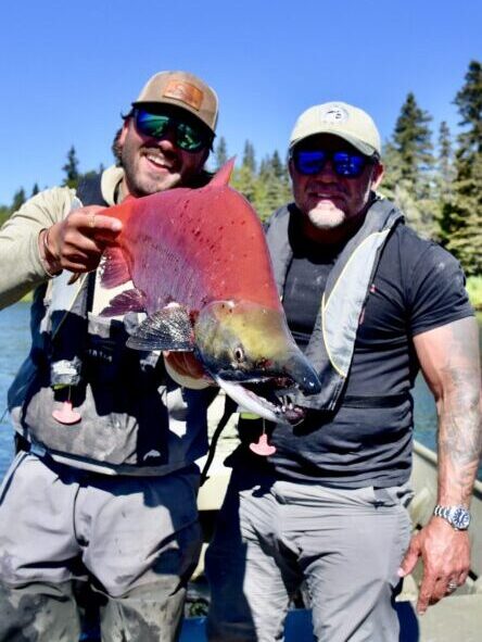 Sockeye Salmon